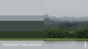 THIS IS NOT THE AMAZON_Poster